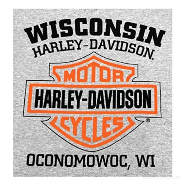 Harley-Davidson Men's Pullover Sweatshirt Bar & Shield Hoodie Gray 30296627