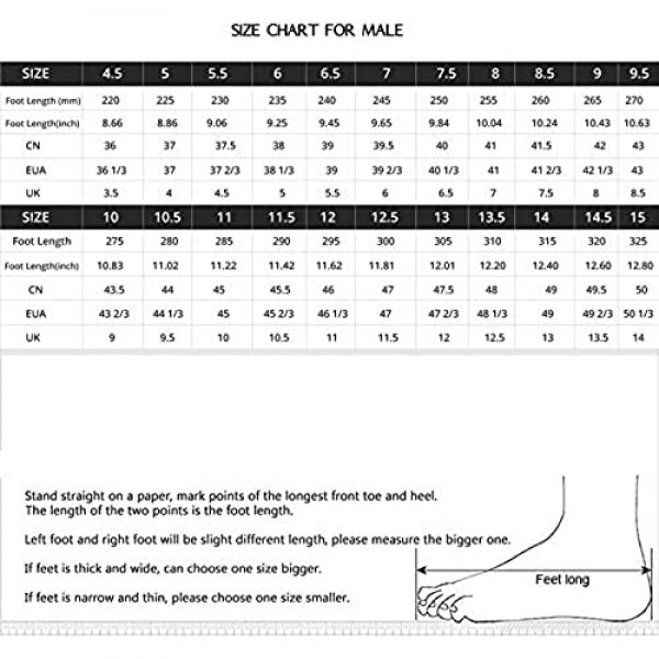LI-NING Men Basketball Culture Shoes Wearable Lining Breathable Sport Shoes Fitness Sneakers Men Essence 2 Buckle UP AGBP051 YXB316 Standard